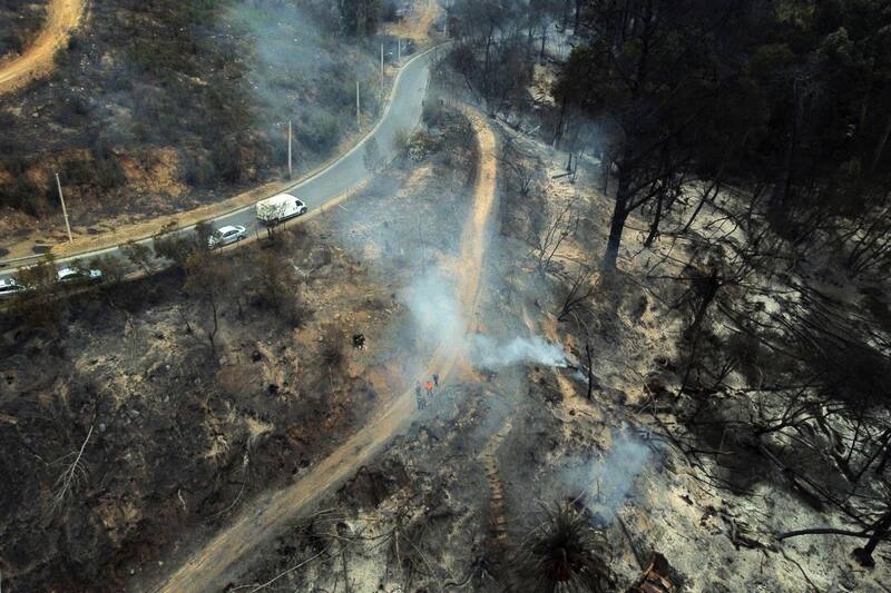 El Jardín Botánico Viña del Mar quedó prácticamente destruido luego de los incendios que han afectado a la ciudad durante los últimos días.