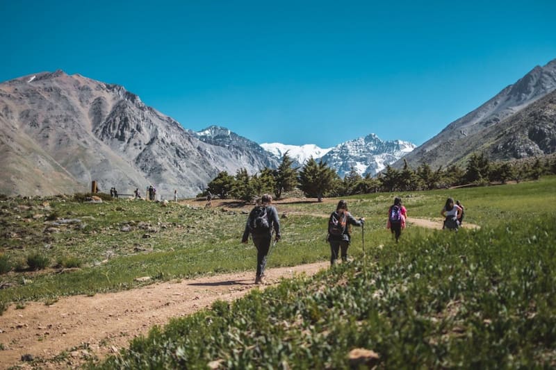 Todos están ubicados en la RM.
Créditos: Cerro del Medio Parque Yerba Loca.