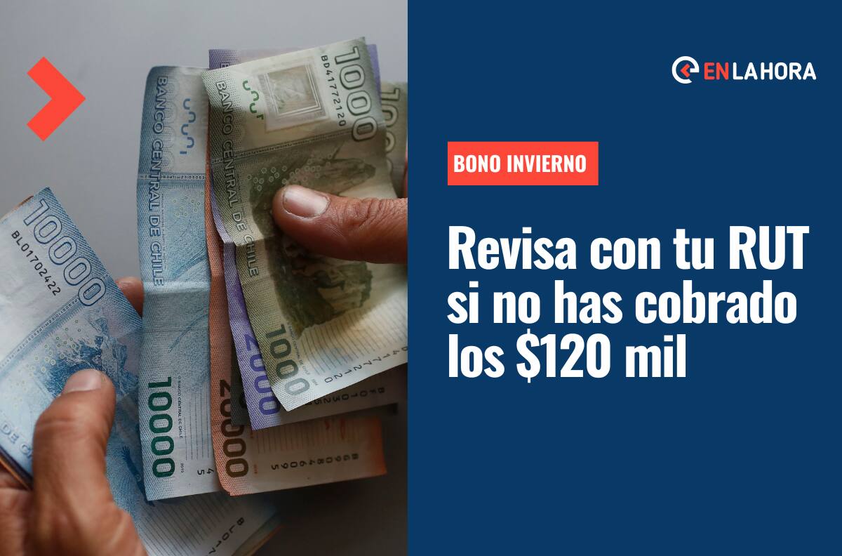 Bono Invierno: Revisa con tu RUT si tienes pendiente el cobro del aporte de $120 mil