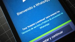 WhatsApp accederá a los últimos 5 mensajes de un chat para verificar denuncias
