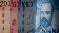 ANID entregará becas de casi $6 millones anuales: ¿Quiénes pueden acceder y cómo postular?