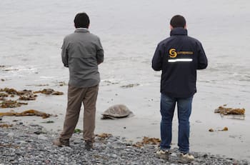 Sernapesca busca trabajadores en Valparaíso: Los sueldos comienzan en $1.626.000