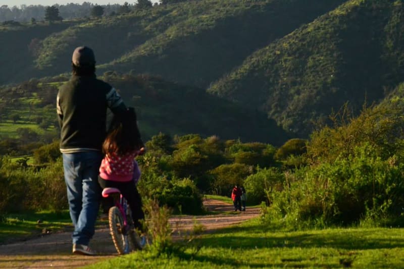 Este pulmón verde de Viña del Mar es ideal para pasear con niños y niñas. Foto: El Martutino.