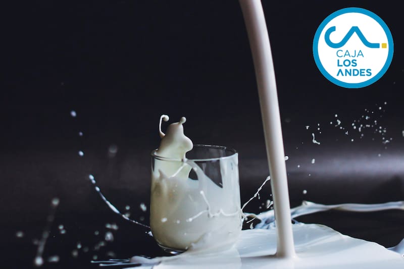 Esta marca se especializa en comida vegana.