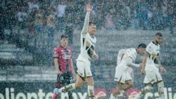 Fue el fichaje del año en México y cuatro meses después se va luego de la desaparición de su perrita