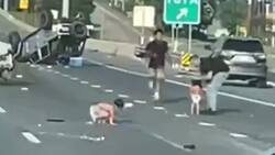VIDEO | Dos bebés en pañales salvan ilesos de milagro tras ser eyectados durante accidente automovilístico en Texas