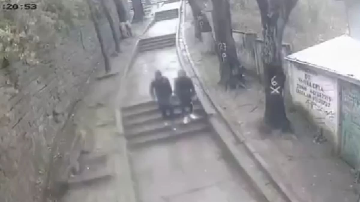 VIDEO | El momento exacto en que un árbol cayó sobre la cabeza de un menor de 14 años en Lota