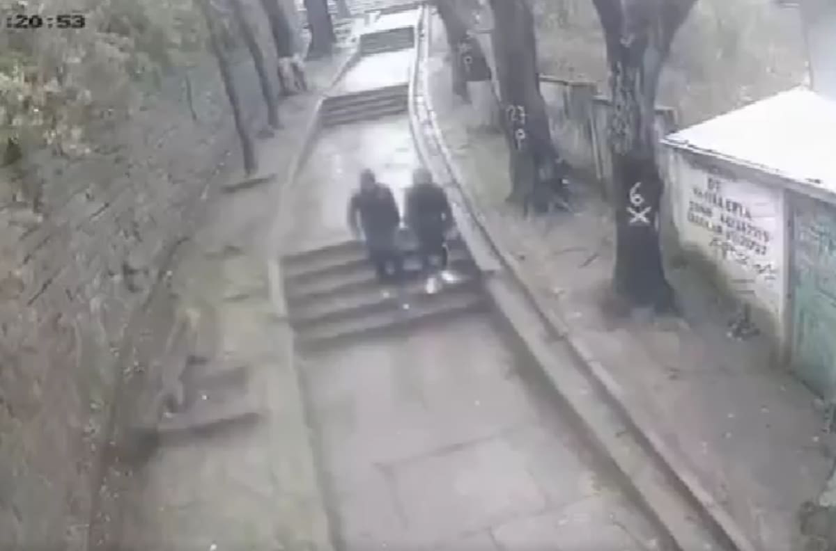 VIDEO | El momento exacto en que un árbol cayó sobre la cabeza de un menor de 14 años en Lota