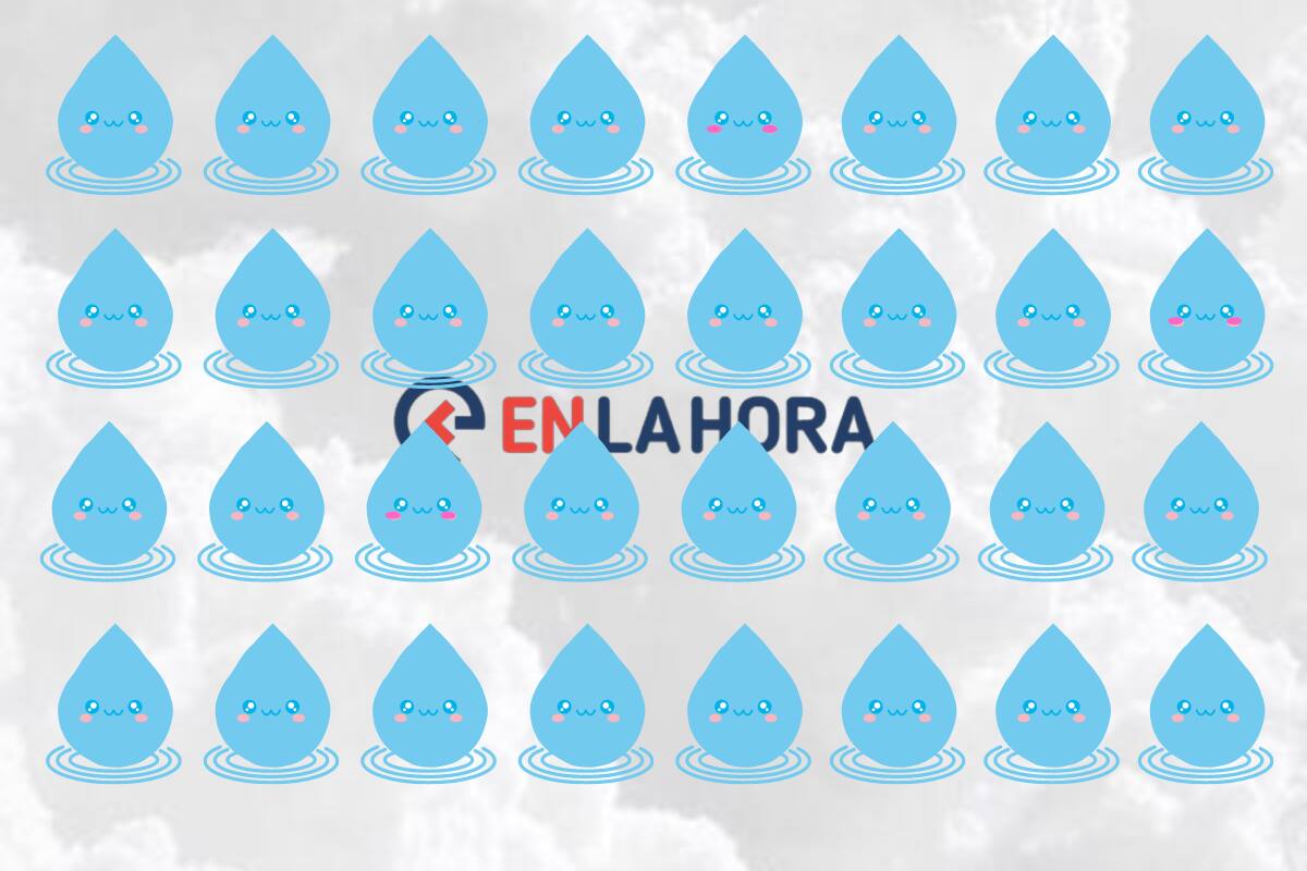 Resuelve este acertijo visual en el Día Mundial del Agua.