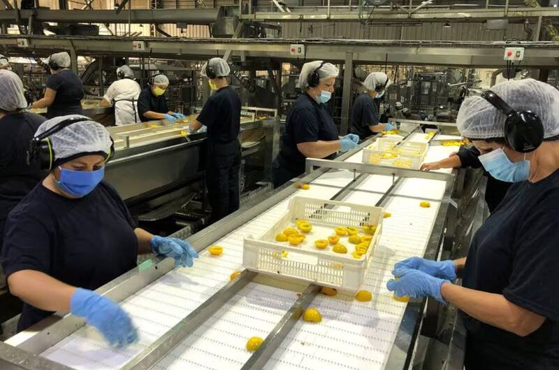 Revisa todas las ofertas laborales de la empresa.