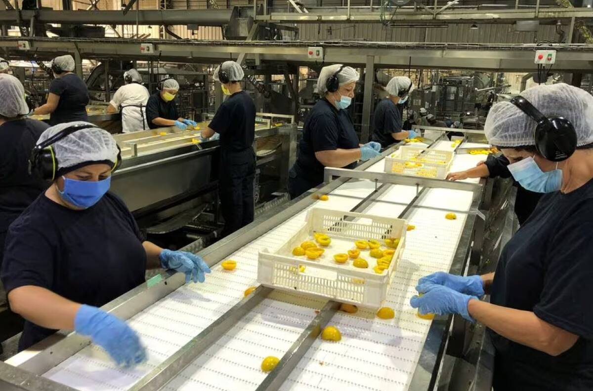 Empresa de alimentos ofrece hasta $700 mil: ¿Cómo postular a alguno de los 2 mil puestos de trabajo?