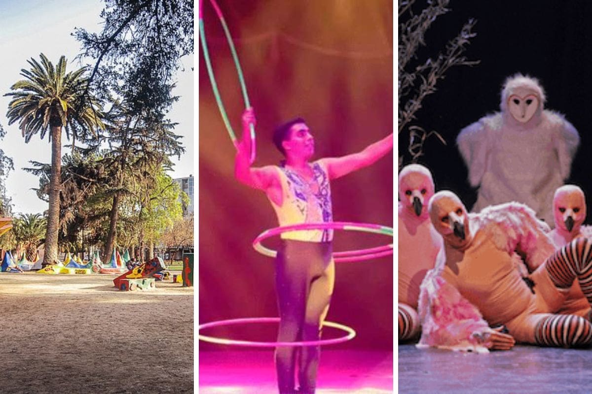 Ideales para disfrutar en familia.
Créditos: TripAdvisor, Circo Gigante de México y Teatro Mori.