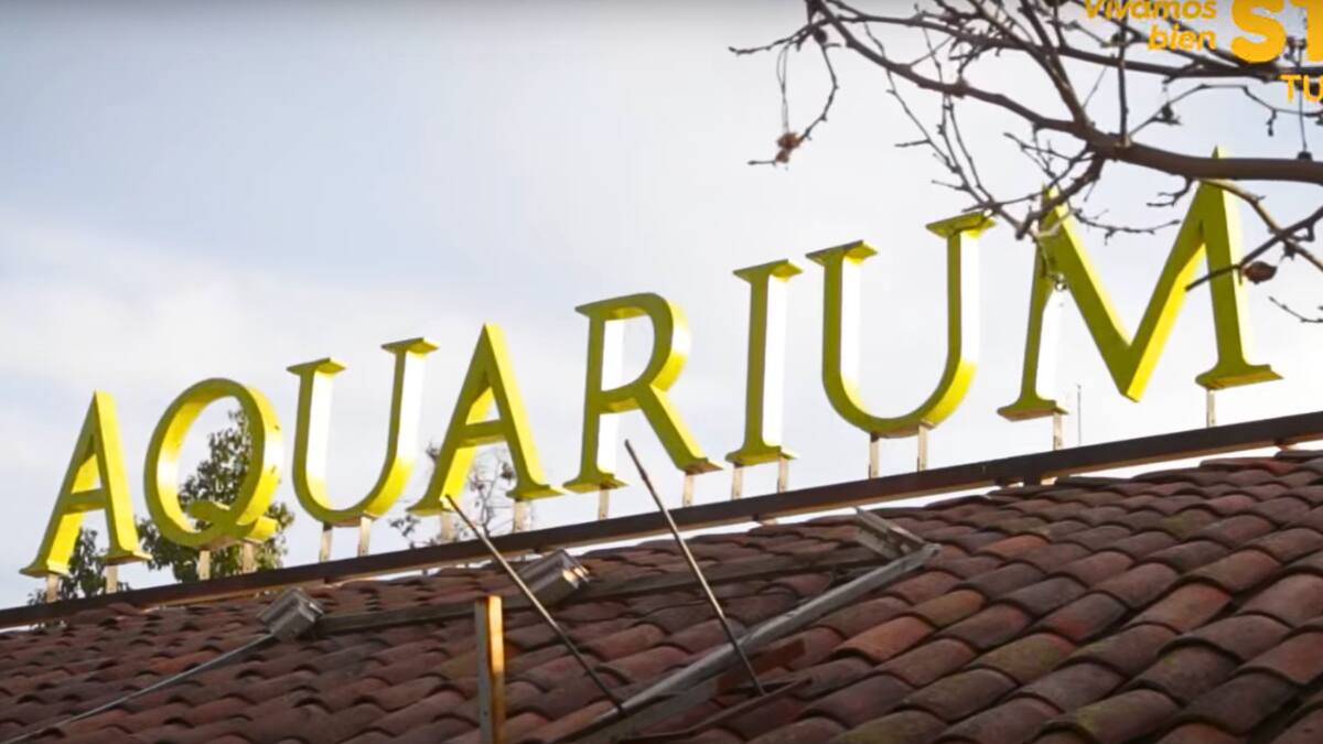 En pleno centro de Santiago: Este acuario es el panorama familiar perfecto por menos de $5.000
