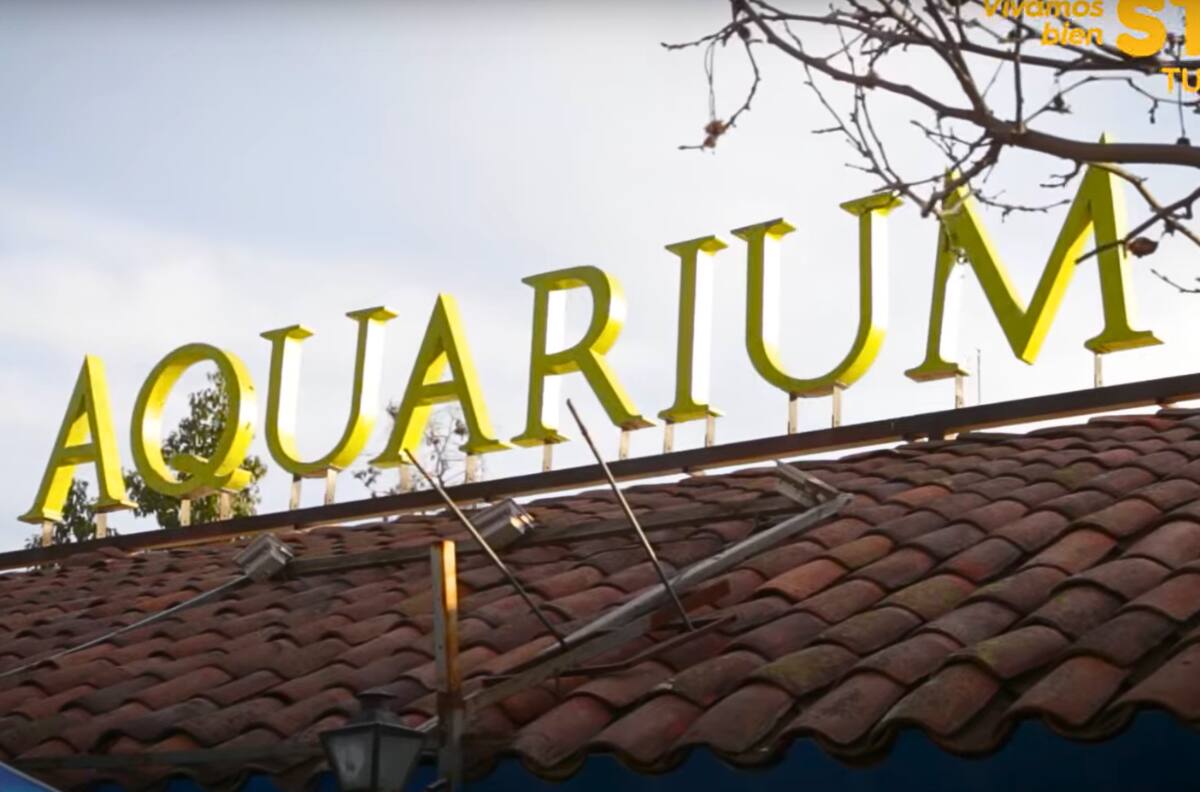 En pleno centro de Santiago: Este acuario es el panorama familiar perfecto por menos de $5.000