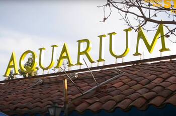 En pleno centro de Santiago: Este acuario es el panorama familiar perfecto por menos de $5.000