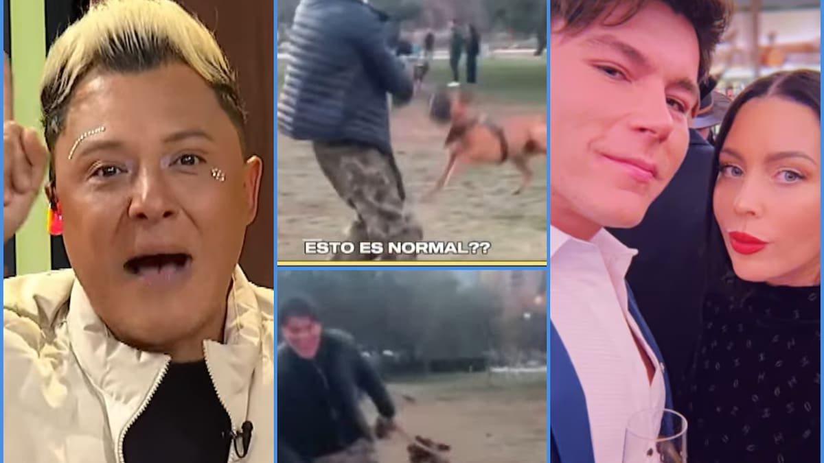 Acusan de maltrato animal a Cuco Cerda: Sergio Rojas lo destrozó en vivo y el pololo de Daniela Aránguiz se defiende