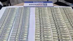 Indignante: descubren a viajero oculto ingresando ilegalmente más de 30 mil dólares en efectivo a Chile