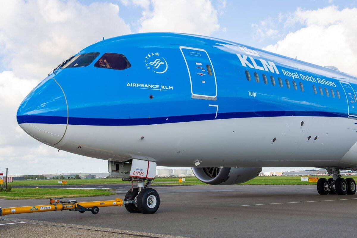Para llevar a tu mascota debes disponer desde 75 a 400 euros. Créditos: AeroLatinNews.