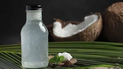 ¿Por qué beber agua de coco es saludable?