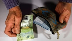 Comienza el pago del Aguinaldo de Navidad para pensionados: Consulta con tu RUT cuándo recibirás tus $29.000