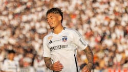 En caso de que se vaya Alan Saldivia: el fichaje con el que Colo Colo intentaría reemplazarlo