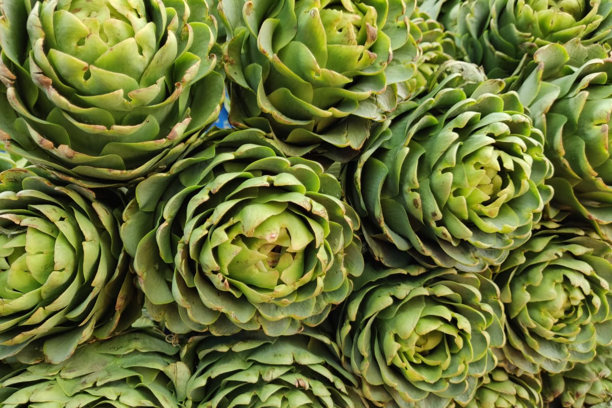 Así puedes mantenerlas más tiempo.