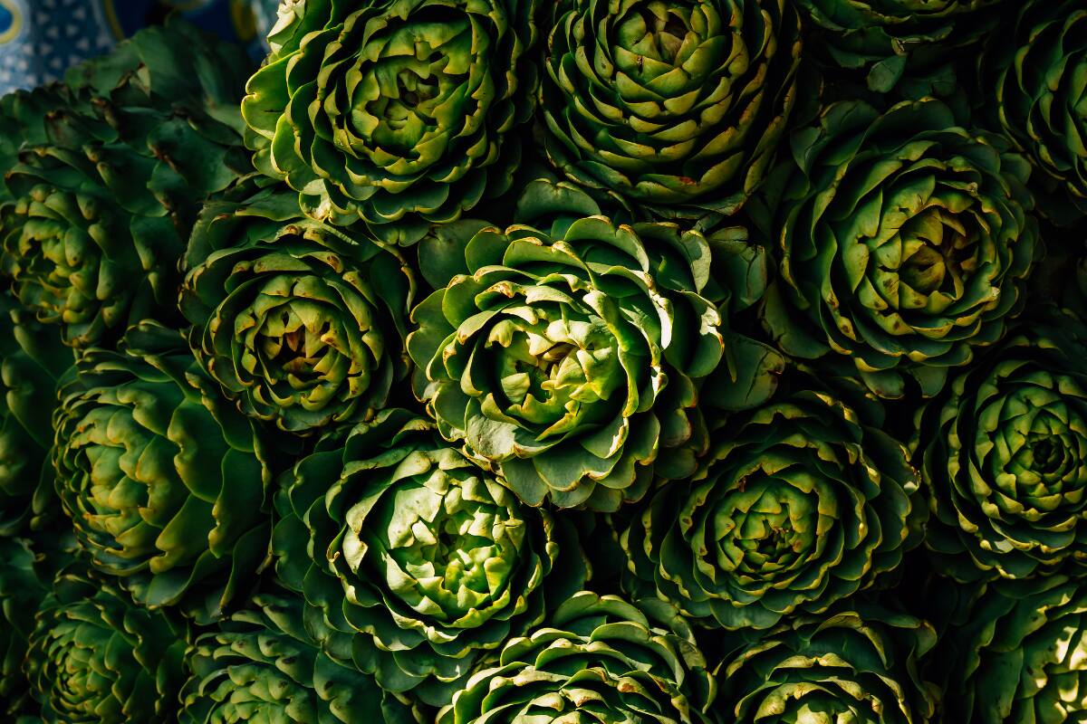 Existen cuatro tips para preservarlas.