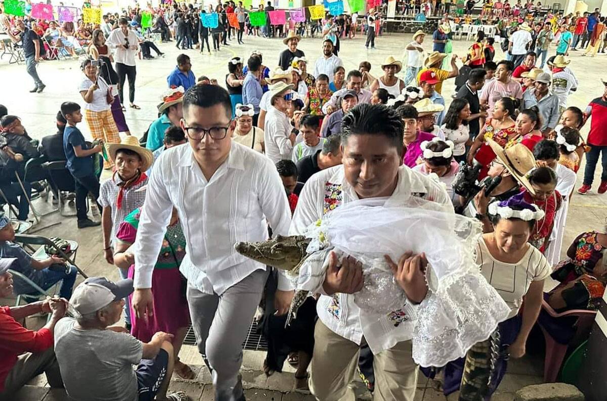 Un alcalde se casó con un caimán y las fotos son virales en Facebook