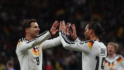 Alemania y Países Bajos clasificaron al Mundial: partidos y resultados de las Eliminatorias Europeas