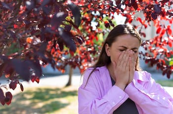 Especialistas aclaran mitos y verdades sobre alergia de otoño: ¿Sirve el propóleo? ¿Se puede dejar de tener la condición?