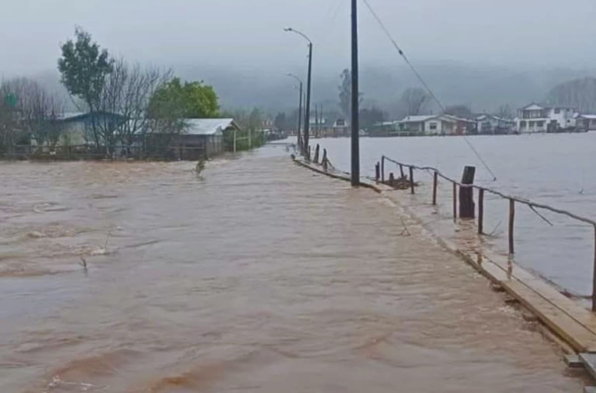 VIDEO | Alerta Roja en Arauco: Senapred ordena evacuación inmediata por desborde de río Pichilo