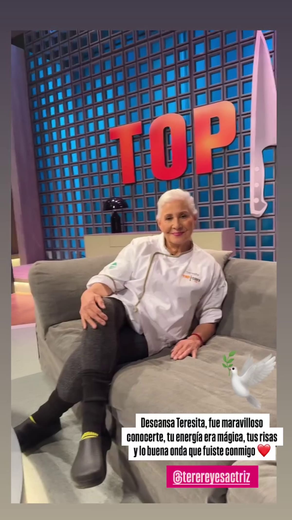 Fueron concursantes de Top Chef VIP.