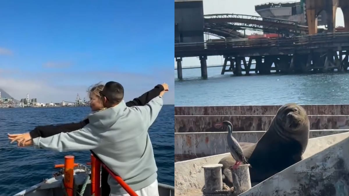 VIDEO | El lado más romántico de Alexis Sánchez: haciendo el Tinanic y comiendo pescado en medio del mar