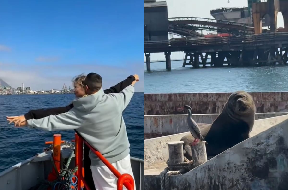 VIDEO | El lado más romántico de Alexis Sánchez: haciendo el Titanic y comiendo pescado en medio del mar