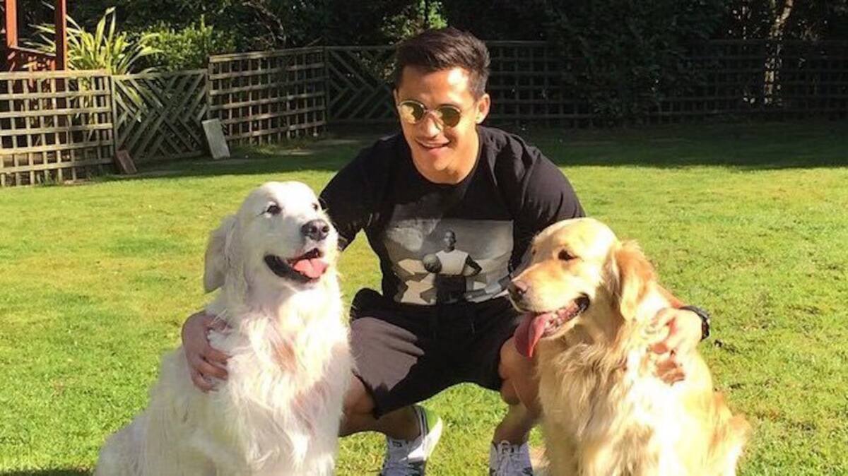 Alexis Sánchez y sus perros Atom y Humber. Créditos: Instagram