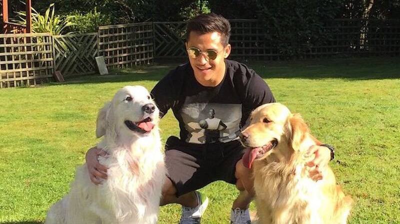 Alexis Sánchez y sus perros Atom y Humber. Créditos: Instagram