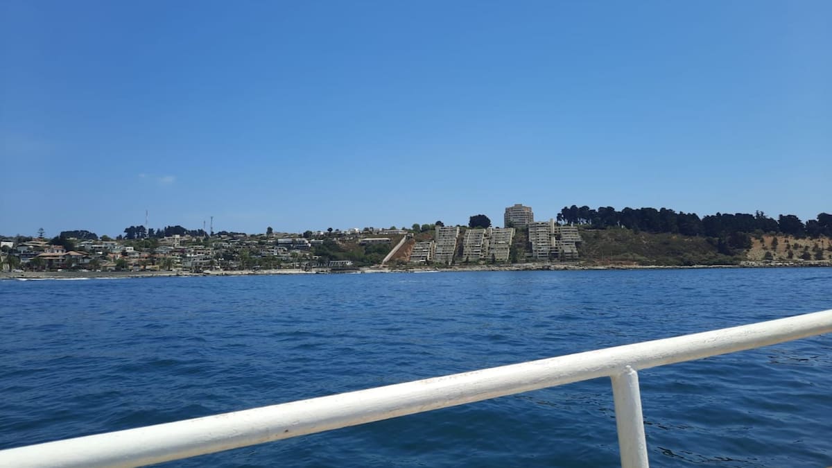 Por solo $7.000: Este es uno de los mejores panoramas que vas a poder realizar si visitas Playa Algarrobo en verano