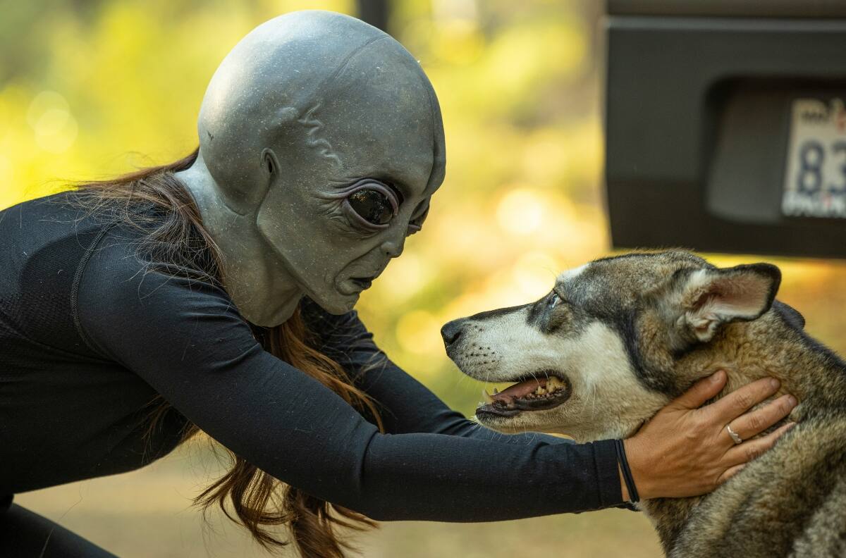 Esta es la ciudad de Chile donde más probabilidades hay de ser abducido por un alien, según ChatGPT