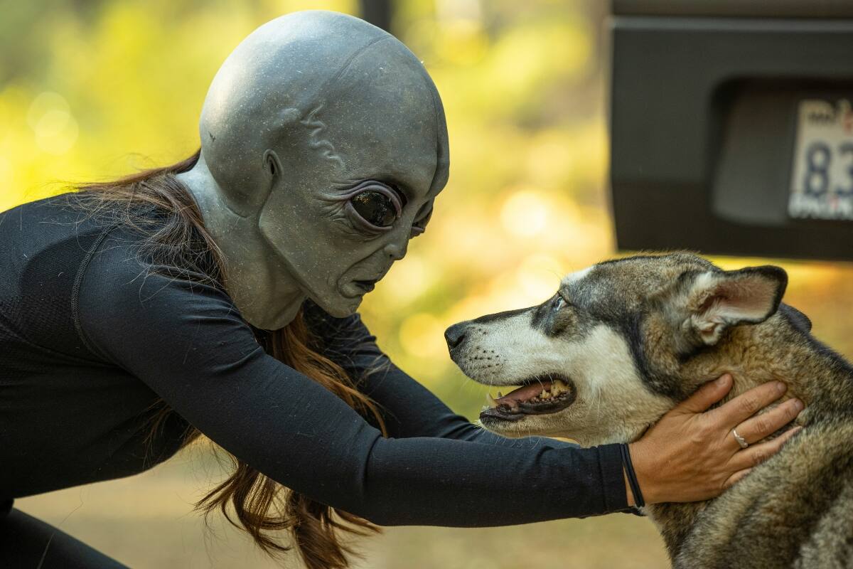 Esta sería la zona chilena más "popular" para los aliens.