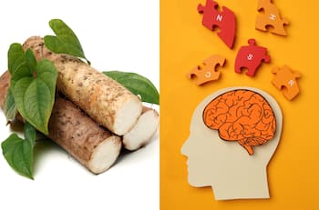 Consume este tubérculo para mejorar tu memoria y estimular el crecimiento neuronal