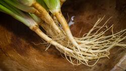 No los botes: así puedes sembrar o reutilizar los residuos de tus verduras para cosechar nuevos vegetales