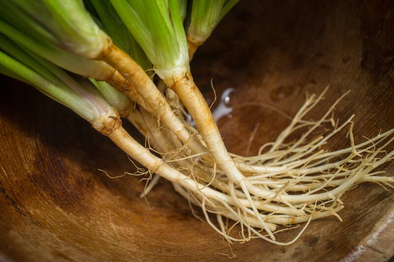 Así puedes regenerar las verduras desde desechos.