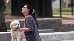 Máximas de hasta 30°C: DMC emite aviso por altas temperaturas en estas regiones de Chile durante el fin de semana