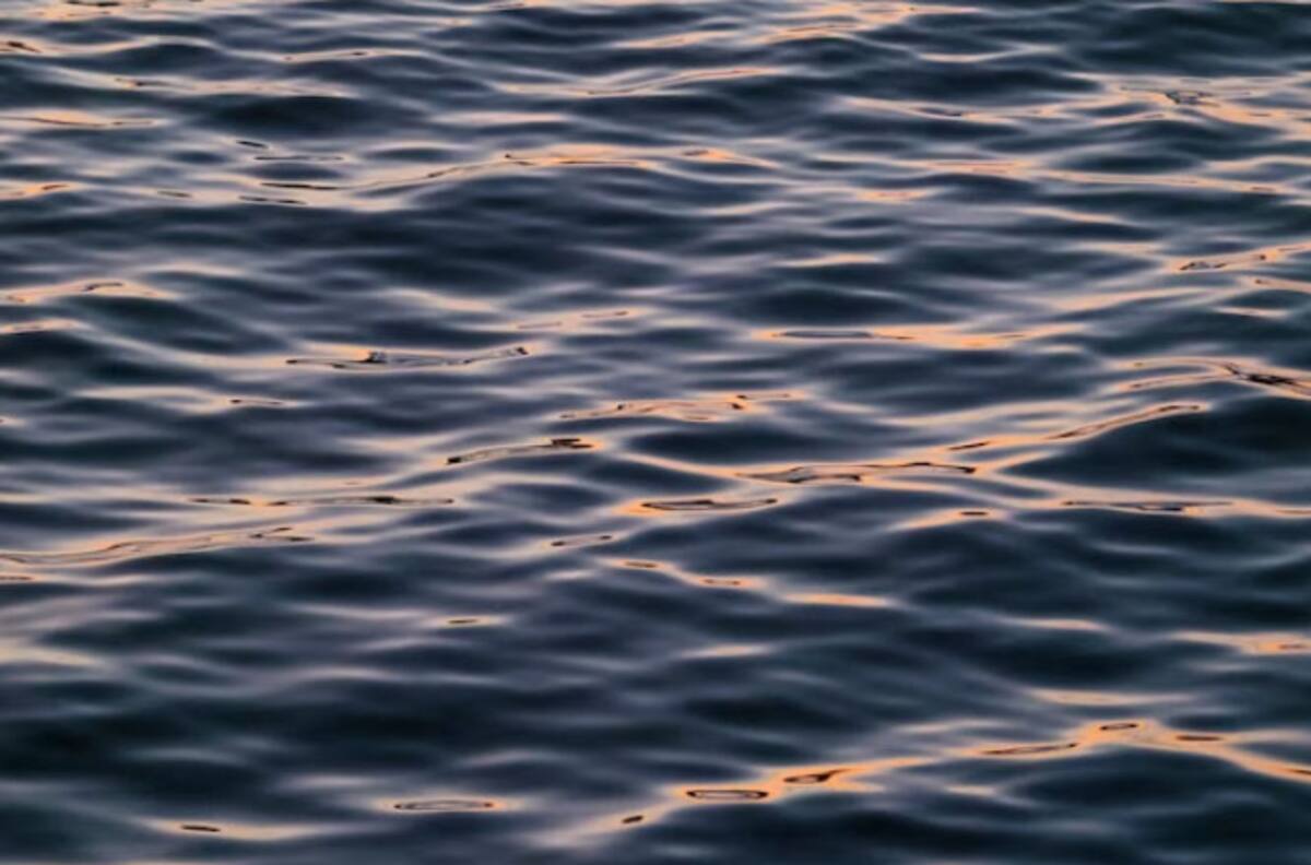 Cambio Climático: Olas de calor en el océano marcan nuevos récords mundiales