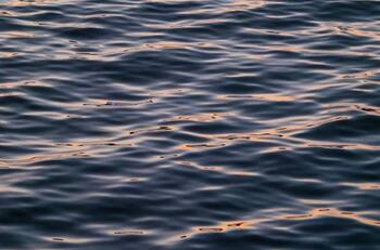 Cambio Climático: Olas de calor en el océano marcan nuevos récords mundiales