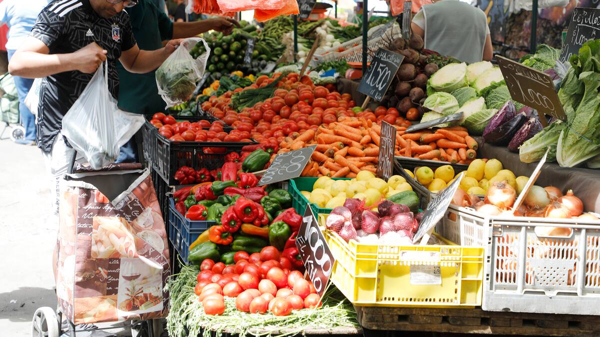 Alza de precio en alimentos tras sistema frontal: ¿Qué verduras podrían subir su valor?