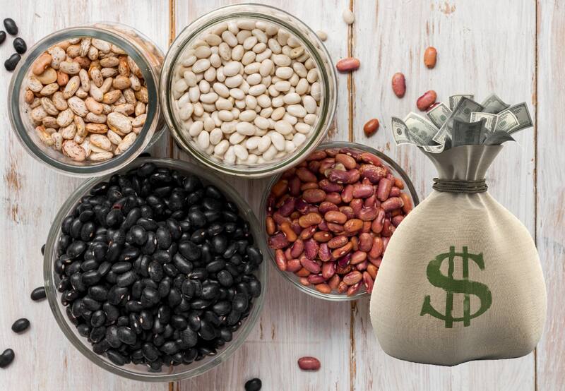 Chile cultiva apenas el 25% de nuestro consumo nacional en materia de porotos. | Foto: EnLaHora