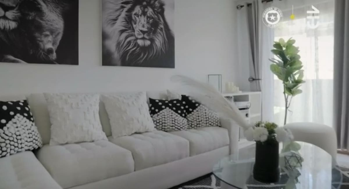 Américo mostró su nueva casa. Créditos: Pantallazo CHV