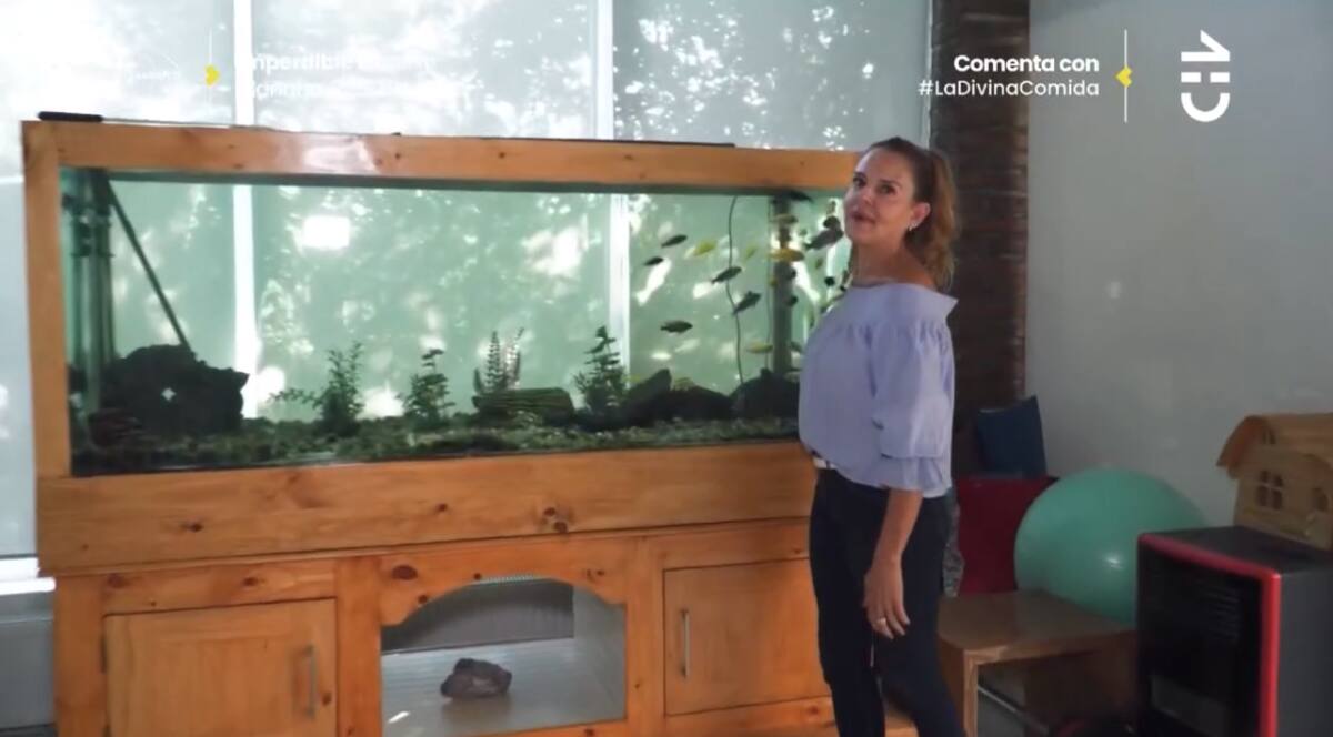 La pecera de Andrea Hoffmann. Créditos: CHV.