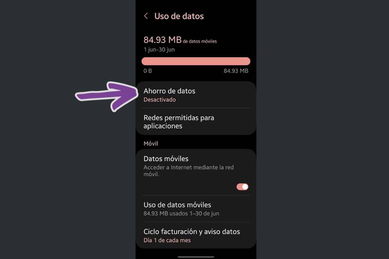 Debes activar la opción de "Ahorro de datos".